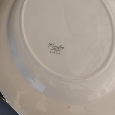 Homer Laughlin Dish Set