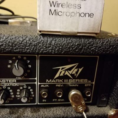 Peavey MP-4 and Mic