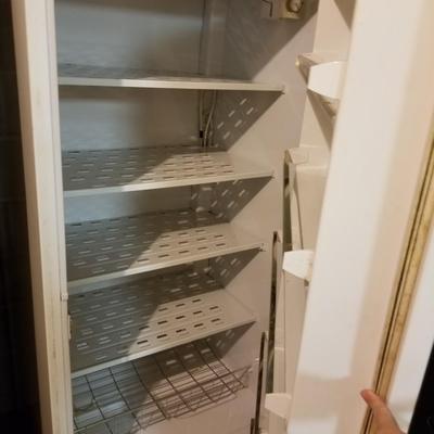 Upright Freezer
