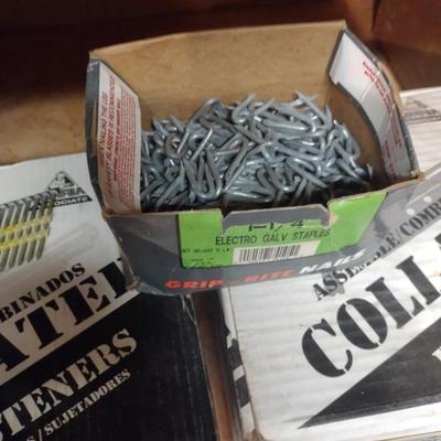 Staples & Nail Gun Fasteners