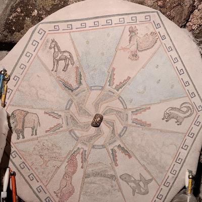 15" Animal Shield with feathers - bones - teeth - and stone bird