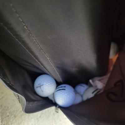 GolfPride Clubs and a Titleist Bag (G-DW)