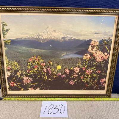 Vintage Mount Hood, Oregon