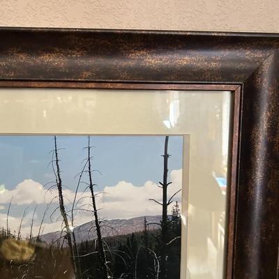 Nice framed mountain stream photograph