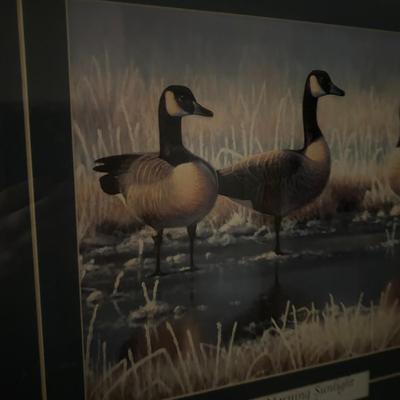 Framed Print by Mark Perry