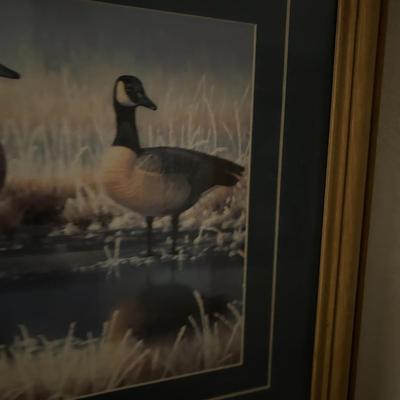 Framed Print by Mark Perry