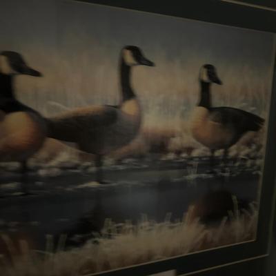 Framed Print by Mark Perry