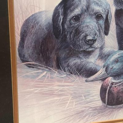 Framed Print Black Lab Puppies
