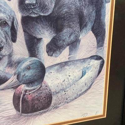 Framed Print Black Lab Puppies