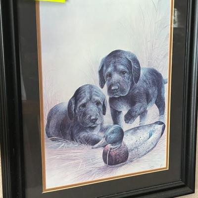 Framed Print Black Lab Puppies