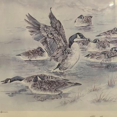 Number Framed signed D M Spenser Goose Print