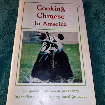 Cookbooks - all on Chinese- Orient - Hot Wok -