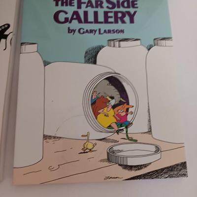 Five The Far Side books with Calvin & Hobbes book too