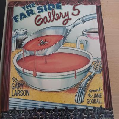 Five The Far Side books with Calvin & Hobbes book too
