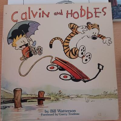 Five The Far Side books with Calvin & Hobbes book too