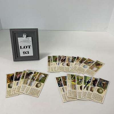 -93- COLLECTIBLE | 1920â€™s Ty-Phoo Tea Bird Card Set
