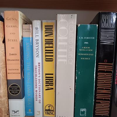 Shelf of books 1421, Hero of the Empire - 1776 - Guns Germs and Steel and other great titles