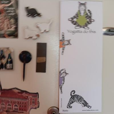 Collection of Refrigerator magnets