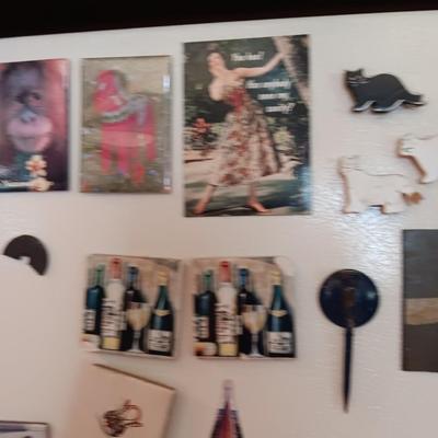 Collection of Refrigerator magnets
