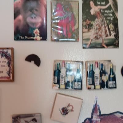 Collection of Refrigerator magnets