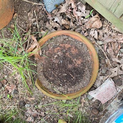 Strawberry Pots, Galvanized Bucket & Garden Planters (BY-SS)