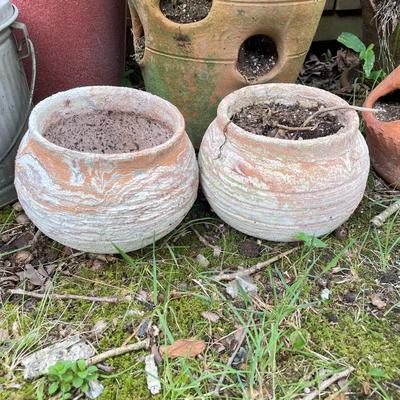 Strawberry Pots, Galvanized Bucket & Garden Planters (BY-SS)