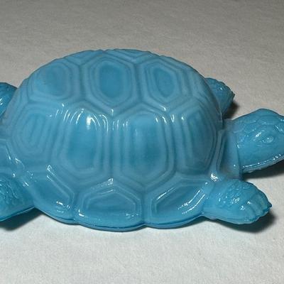 Turquoise Blue Turtle open Salt