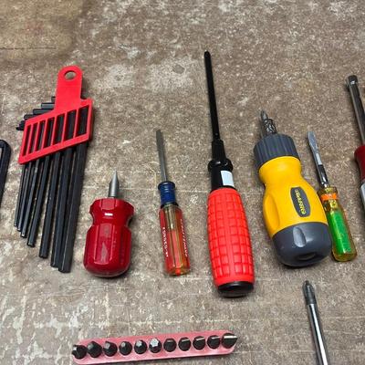 Screwdrivers & More Tools (WS-MG)