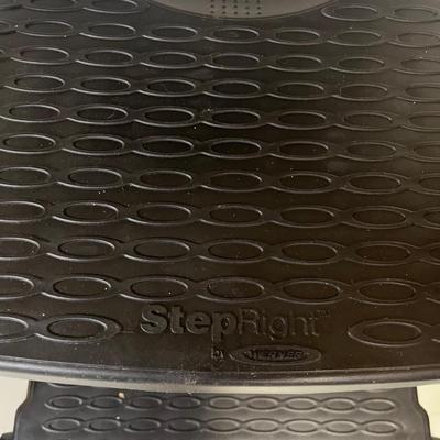 Step Right By Werner Step Stools ( WS-MG)