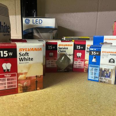 Assortment of Light Bulbs (S-MG)