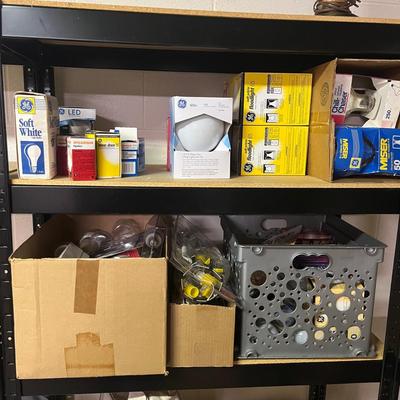 Assortment of Light Bulbs (S-MG)