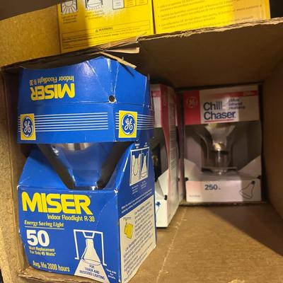 Assortment of Light Bulbs (S-MG)