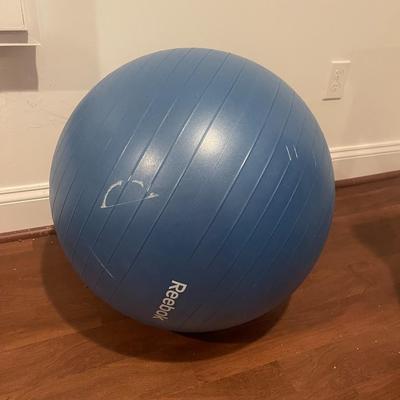 EXERCISE BALL