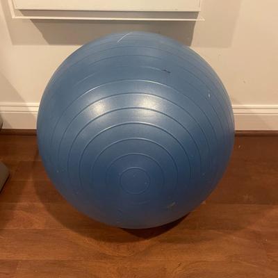 EXERCISE BALL