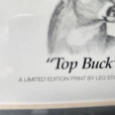 Top buck by Leo Stans