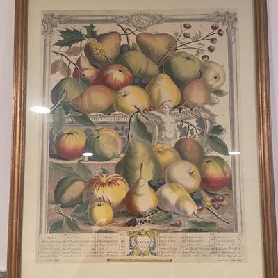 FRUIT PRINT FRAMED