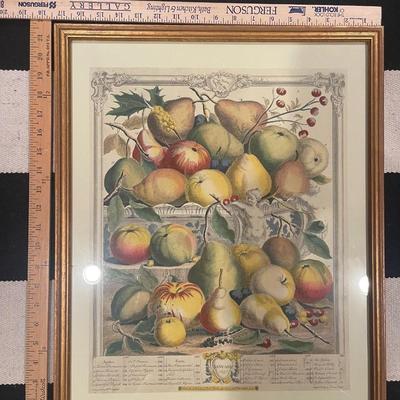 FRUIT PRINT FRAMED