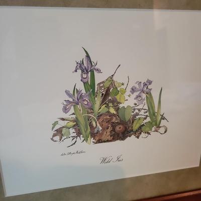 Framed Wildflower Prints by Sallie Ellington Middleton(MBR-DW)