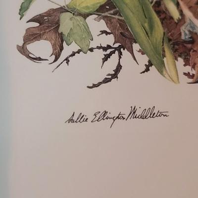 Framed Wildflower Prints by Sallie Ellington Middleton(MBR-DW)