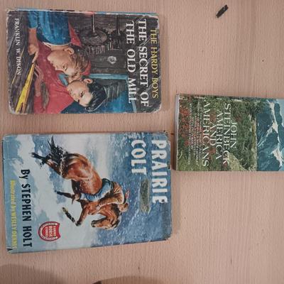 Books - John Steinbeck - Stephen Holt - Franklin Dixon - all older books!
