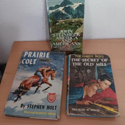 Books - John Steinbeck - Stephen Holt - Franklin Dixon - all older books!