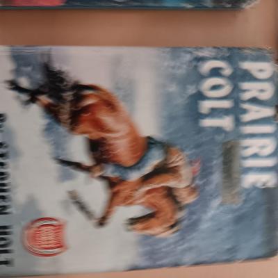 Books - John Steinbeck - Stephen Holt - Franklin Dixon - all older books!