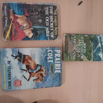 Books - John Steinbeck - Stephen Holt - Franklin Dixon - all older books!