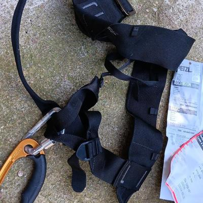 Climbing harness