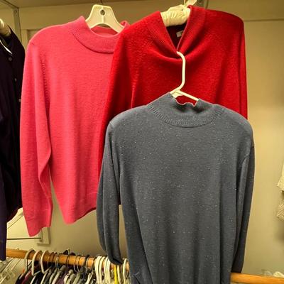 Medium Size Sweaters - J Jill, Appleseedâ€™s & More (PC2-RG)