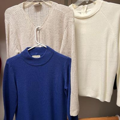 Medium Size Sweaters - J Jill, Appleseedâ€™s & More (PC2-RG)