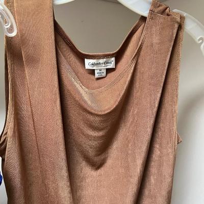 Chicoâ€™s, Lands End, Liz Claiborne & More Size Medium Tops (PC2-RG)