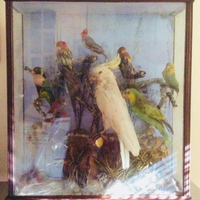 19th Century English Diorama