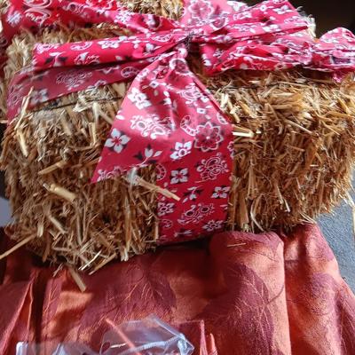 Fall Decorations for your home - pumpkins - scarecrow - tablecloth- miniature straw bales.