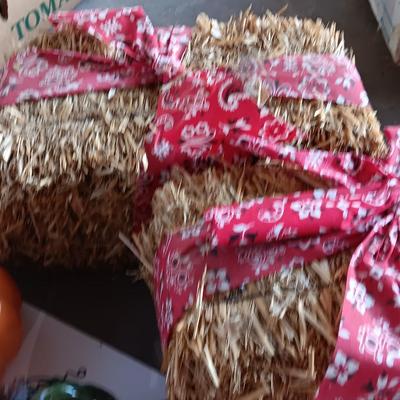 Fall Decorations for your home - pumpkins - scarecrow - tablecloth- miniature straw bales.